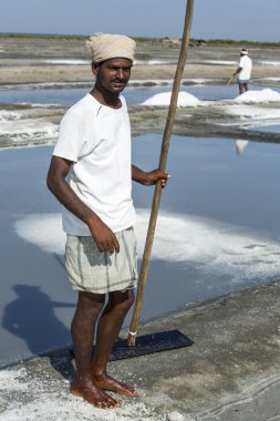 Belgesel resim Editör. Tuz alan işçi Hindistan