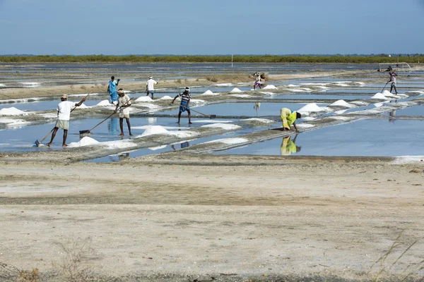 Documentary image editorial. Salt field worker India