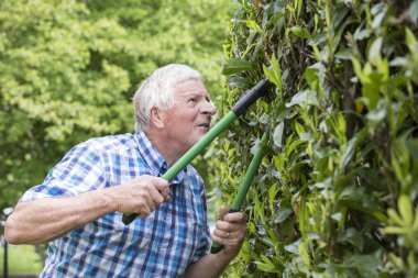 üst düzey kesme Çit Bahçe