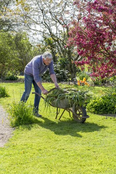 Senior gardener with barrow — Stock Photo, Image