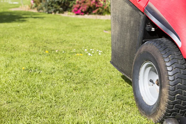 Senior gardener cut grass — Stock Photo, Image