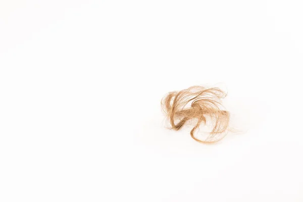 Pérdida de cabello sobre fondo blanco — Foto de Stock