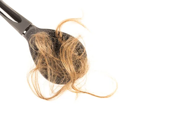 Випадання волосся на білому тлі — стокове фото