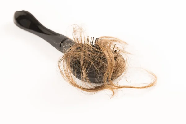 Hair Loss on white background Stock Image