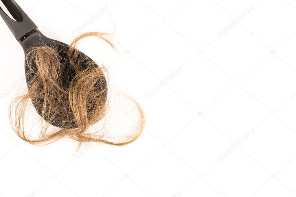 Hair Loss on white background