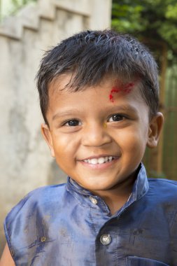 Belgesel görüntü. Yazı işleri. Tapınak Festivali Hindistan