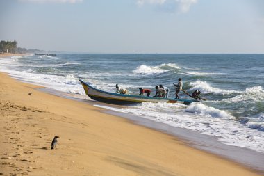 Belgesel görüntüleri: balıkçılar Pondichery, Hindistan