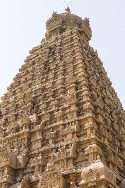 Tanjore Tapınağı Tami Nadu Hindistan