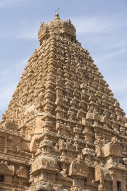 Tanjore Tapınağı Tami Nadu Hindistan
