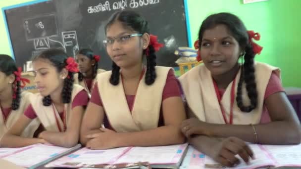 Meninos Não Identificados Meninas Colegas Classe Uniformes Escolares Governo Estudando — Vídeo de Stock