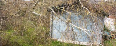 Kapalı beş büyük huş ağacı, güçlü kasırga ve kanat fırtınasından sonra tahta gri garaj çatısında devrildi. Fransa Avrupa 'daki sigorta şirketi için felaket. Panoramik pankart boyutu