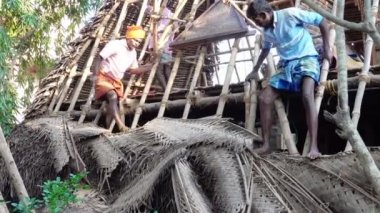 PUDUCHERRY, İNDİA - Aralık 2018. Tanımlanamayan Hintli işçiler turistlere servis yapmak için odunluğun tepesini hindistan cevizi yapraklarıyla kapladılar. Dalit halkı için zor bir iş.