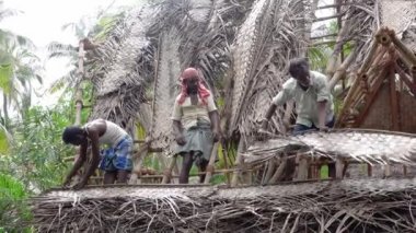 PUDUCHERRY, İNDİA - Aralık 2018. Tanımlanamayan Hintli işçiler turistlere servis yapmak için odunluğun tepesini hindistan cevizi yapraklarıyla kapladılar. Dalit halkı için zor bir iş.