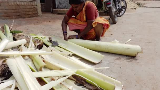 Puducherry Índia Dezembro Circa 2019 Mulher Feijão Madura Aldeia Rua — Vídeo de Stock