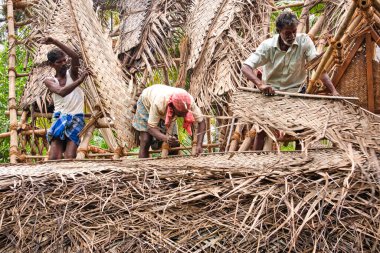 Çapulcu, TAMIL NADU - Aralık 2018. Tanımlanamayan Hintli işçiler turistlere servis yapmak için odunluğun tepesini hindistan cevizi yapraklarıyla kapladılar. Dalit halkı için zor bir iş.
