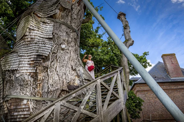 Allouville Bellefosse France September Circa 2020 Oak Tertua 1200 Tahun — Stok Foto