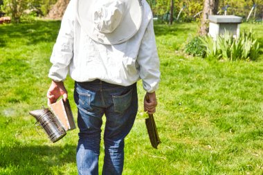 Arı yetiştiricisi çiçek açan alanın yakınındaki arı kovanlarını geziyor ve inceliyor. Hayatın otantik sahnesi