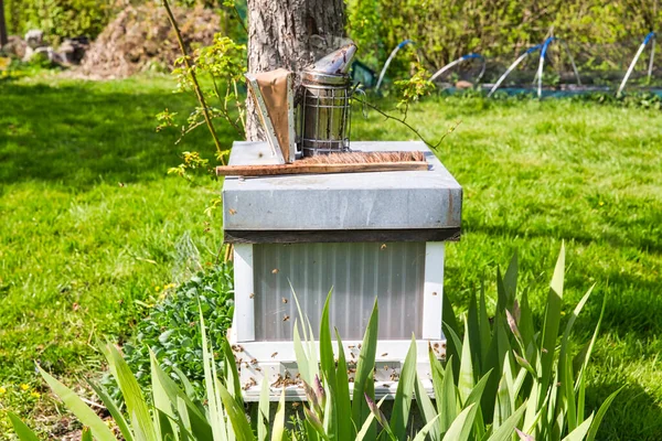 Old Smoker standing on the hive. A bee smoker is a device used in beekeeping to calm honey bees. It is designed to generate smoke from the smouldering of various fuels, hence the name.