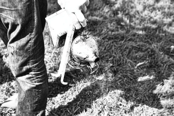 Hand Beekeeper Protective Clothing Switching Old Smoker Brush Grass Garden — Stock Photo, Image