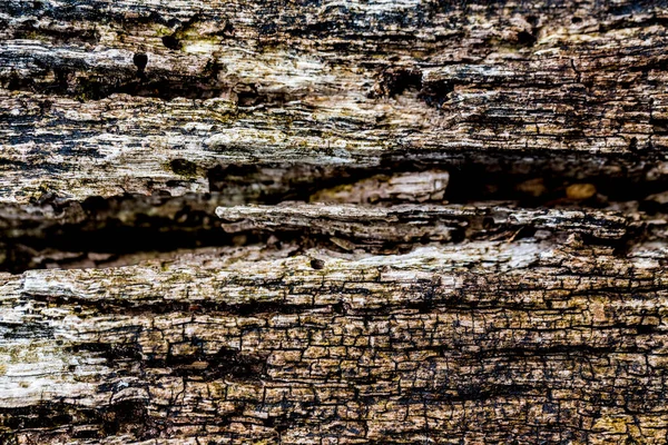 Contexte Bois Fissure Texturé Très Ancien Avec Des Lignes Ressources — Photo