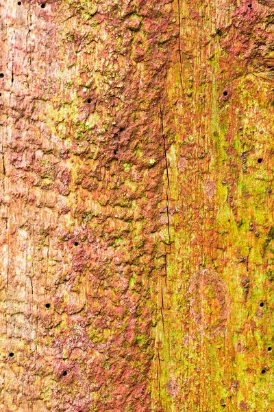 Background Old Textured Crack Wood Graphic Ressource — Stock Photo, Image