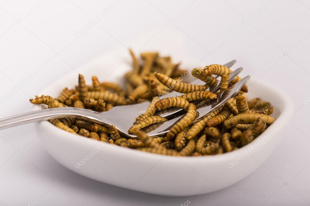 Fried insects, molitors