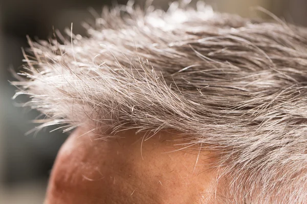 Peluquería corta el cabello — Foto de Stock