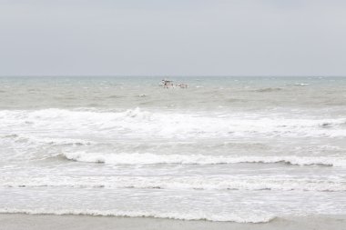 denizin güzel dalgalar