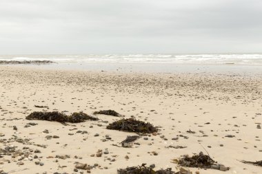 Sessiz beach Normandiya
