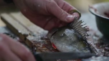 bir adam sokakta bir taze balık temizler