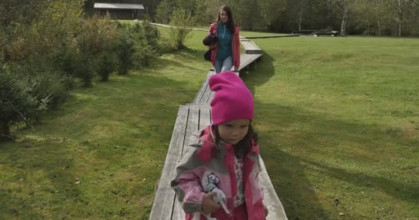 Moeder met kind lopen door een weiland — Stockvideo