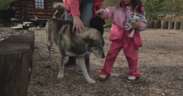 Mãe com criança acariciando um cão — Vídeo de Stock