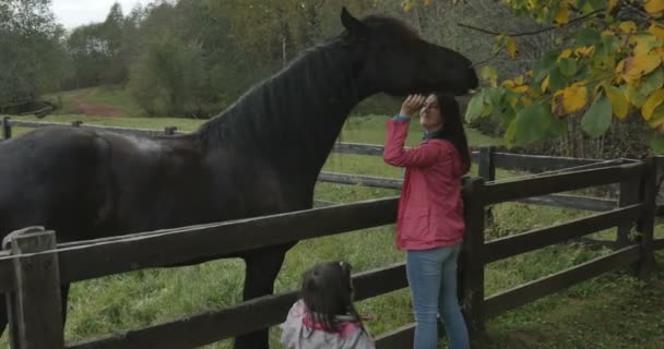 A little girl with a mother with a horse — Stock Video