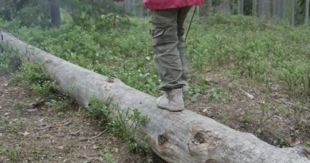 Маленькая девочка играет в лесу — стоковое видео
