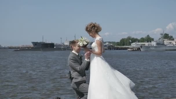 这项建议，这对夫妇在海滩上，婚礼 — 图库视频影像