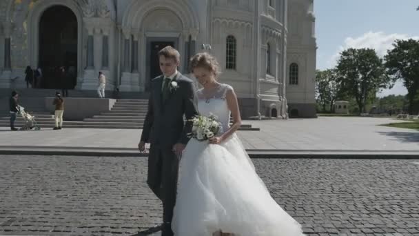 Recién casados caminando en el parque tomados de la mano — Vídeos de Stock