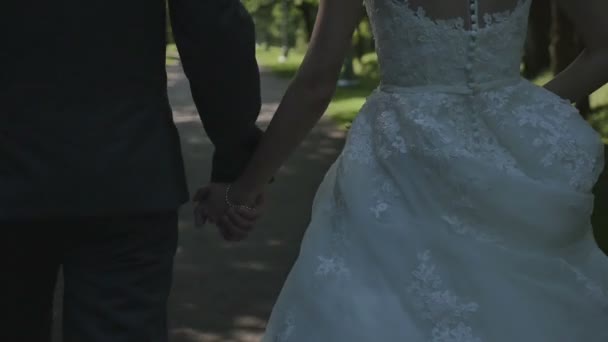 Una pareja de recién casados ir al parque y hablar — Vídeos de Stock