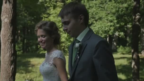 Yeni evli çift el ele parkta yürüyüş — Stok video