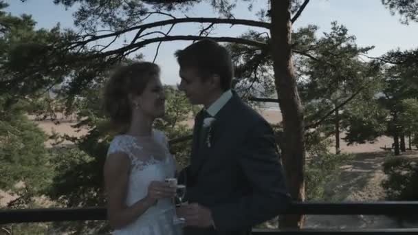 Το ζευγάρι στη σκιά των δέντρων στη βεράντα, φιλώντας με ποτήρια σαμπάνια — Αρχείο Βίντεο