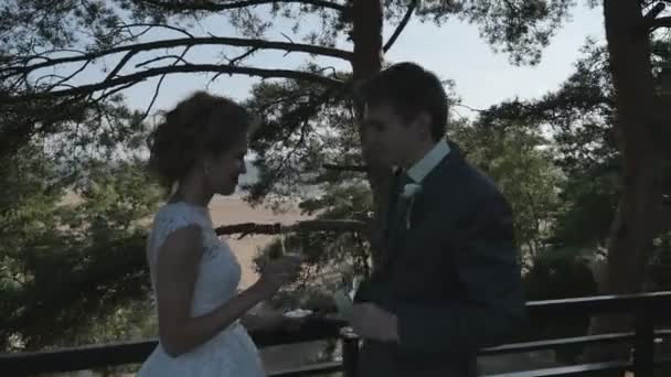 La pareja a la sombra de los árboles en la terraza, besándose con copas de champán — Vídeos de Stock