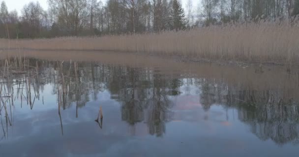 Ηλιοβασίλεμα στην βάρκα στη λίμνη — Αρχείο Βίντεο