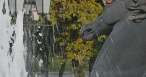 La fontaine et la sculpture des chevaux dans le parc — Video