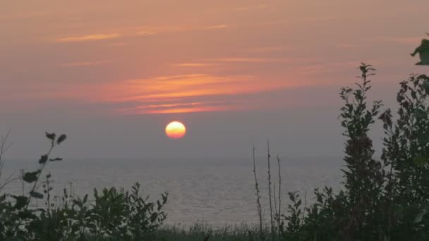 Ptaki na tle piękny zachód słońca nad morzem — Wideo stockowe
