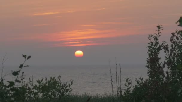 Vogels op de achtergrond van de prachtige zonsondergang op de zee — Stockvideo