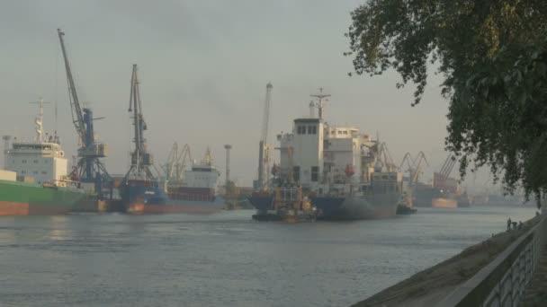 Navi da carico sul molo nuotano passato. nave da carico, porto, navi — Video Stock