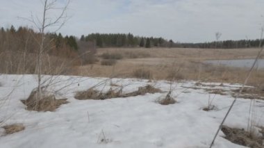 doğa, Bahar, kar, alan