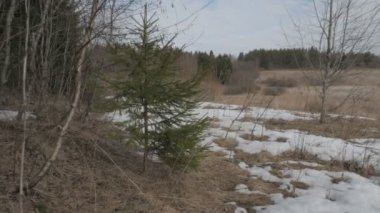 doğa, Bahar, kar, alan