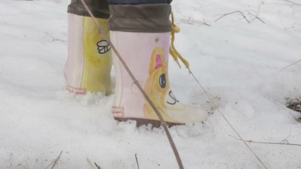 Enfant en bottes marchant dans les bois au printemps, fps96 — Video