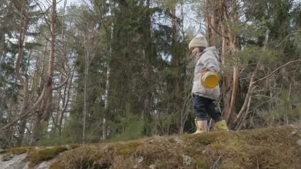 Pequena criança caminhando na floresta de outono — Vídeo de Stock