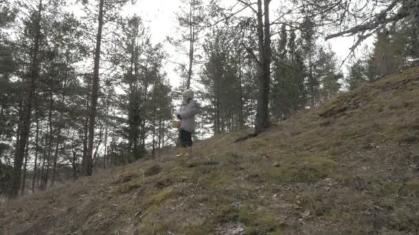 Klein kind wandelen in de herfst bos — Stockvideo